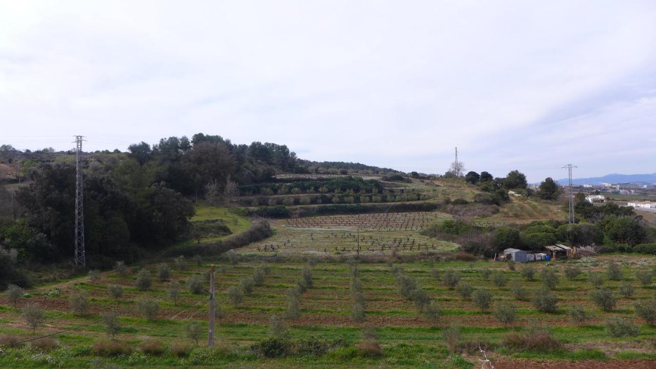 Agroturisme Cal Jeroni Avinyonet del Penedes 외부 사진