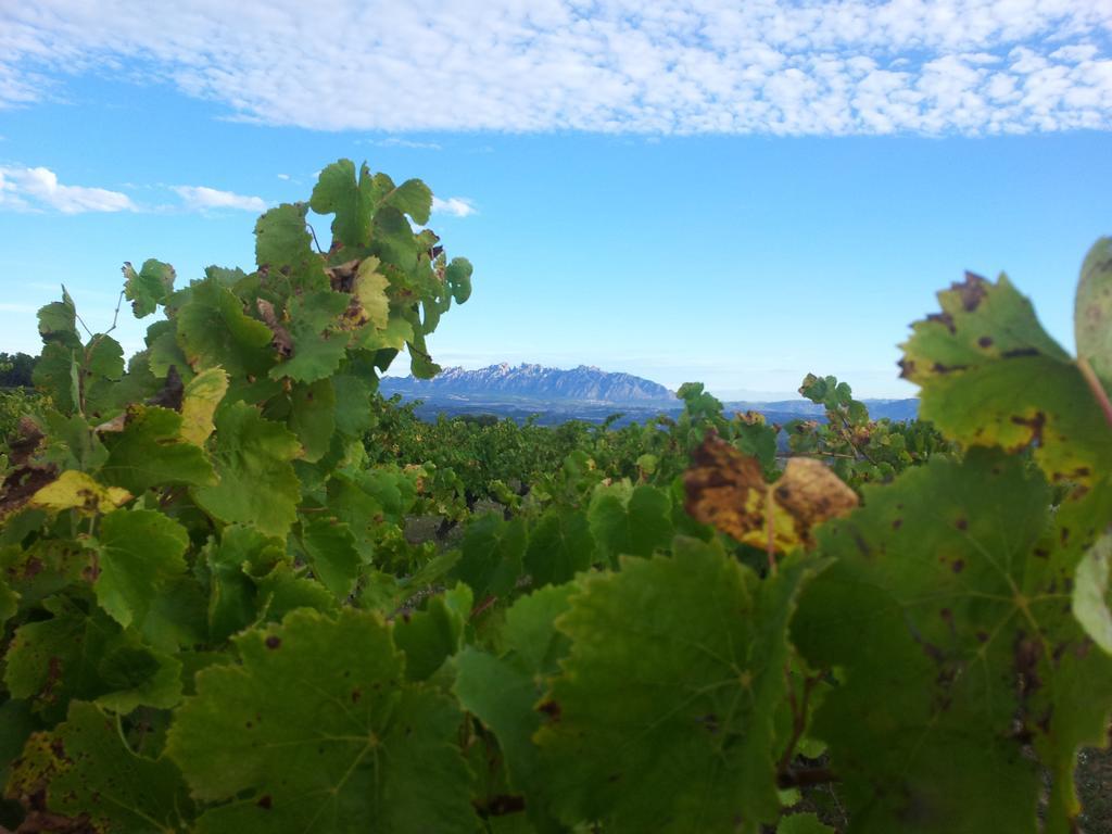 Agroturisme Cal Jeroni Avinyonet del Penedes 외부 사진