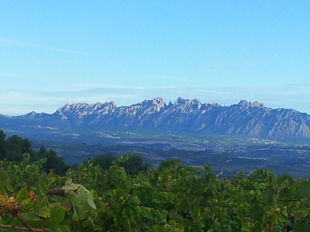 Agroturisme Cal Jeroni Avinyonet del Penedes 외부 사진