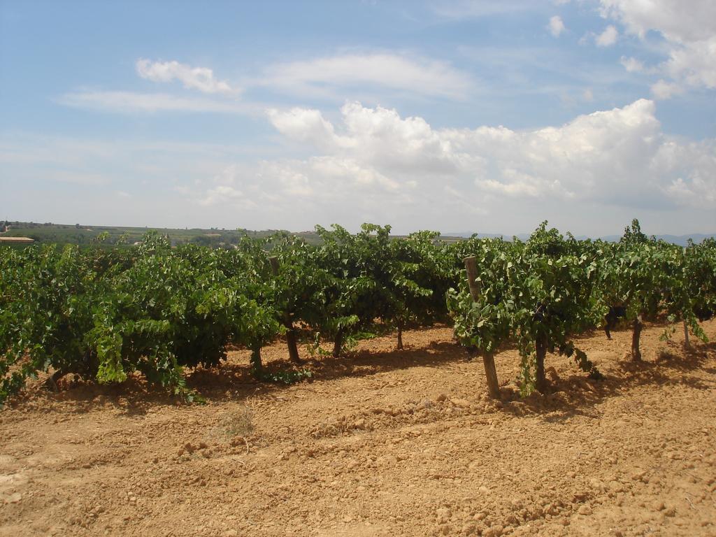 Agroturisme Cal Jeroni Avinyonet del Penedes 외부 사진